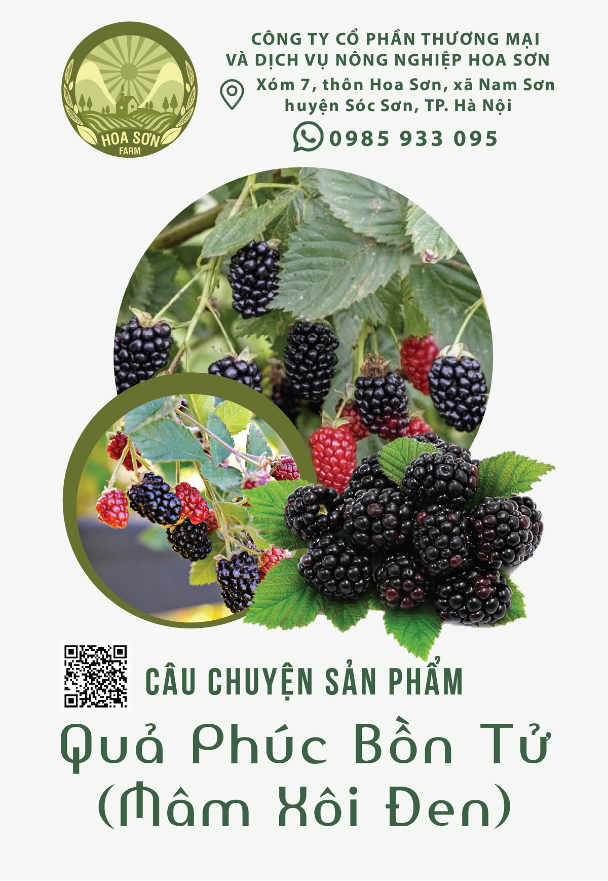 Quả phúc bồn tử (mâm xôi đen)